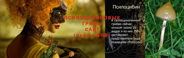 a pvp Арсеньев