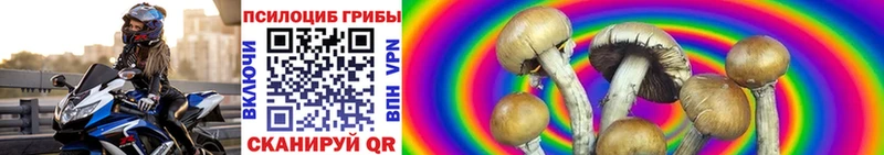 Псилоцибиновые грибы ЛСД  Нюрба 
